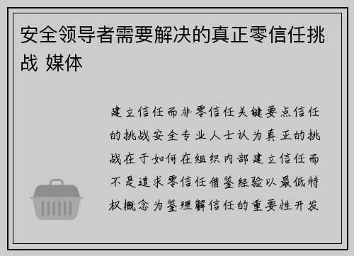 安全领导者需要解决的真正零信任挑战 媒体