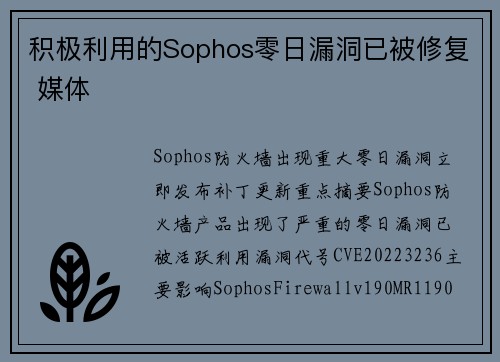 积极利用的Sophos零日漏洞已被修复 媒体