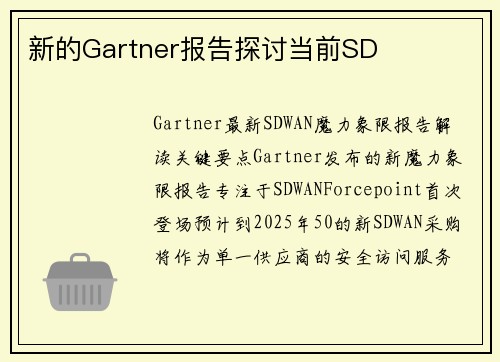 新的Gartner报告探讨当前SD